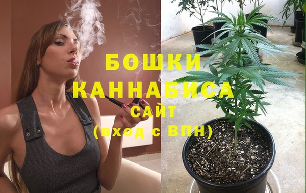 гашик Волосово