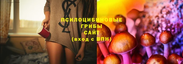 мяу мяу мука Волоколамск