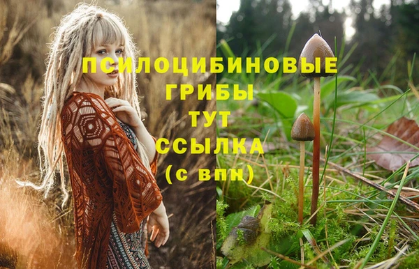 гашик Волосово
