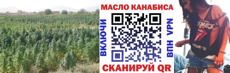 Купить Вичуга Дистиллят ТГК концентрат