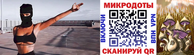 Галлюциногенные грибы прущие грибы Купить закладки Вичуга